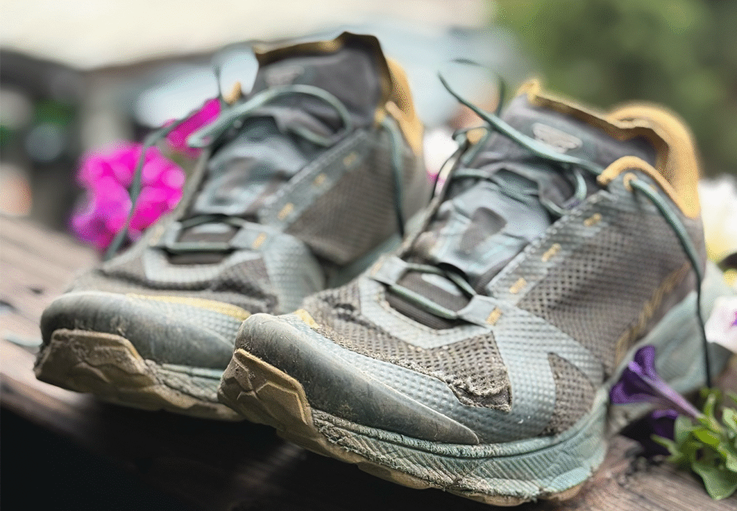 trailrun schoenen voor de Alpen